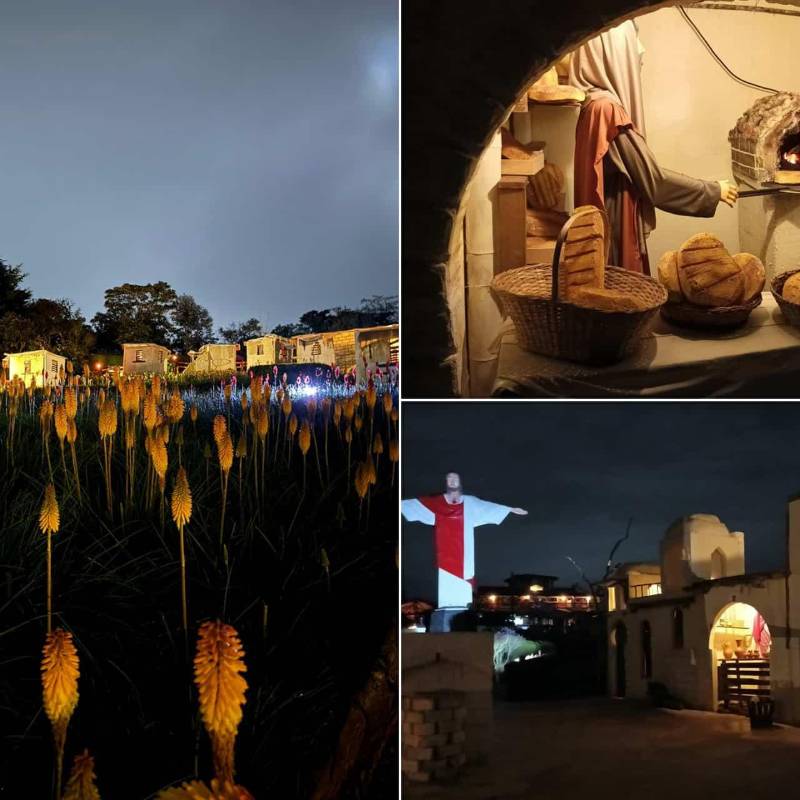 De noche el espacio se ilumina de una manera especial para el disfrute de los visitantes. FOTOS: Cortesía Jardín Silletero