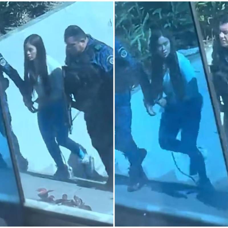 Así se vio a Epa Colombia en las imágenes que sacudieron las redes sociales este 11 de septiembre, durante su traslado a una diligencia judicial en el sector de Los Arrayanes, en Ibagué. FOTO: Captura de video de redes sociales y cortesía @geraldineayalavi31
