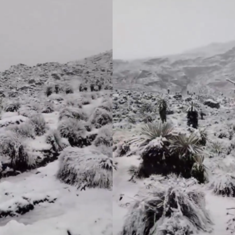 La intensa nevada en el Parque Nacional Natural El Cocuy cubrió sectores como el Ritacuba Blanco y el Púlpito del Diablo, sorprendiendo a turistas y guías locales. FOTOS: Captura de video
