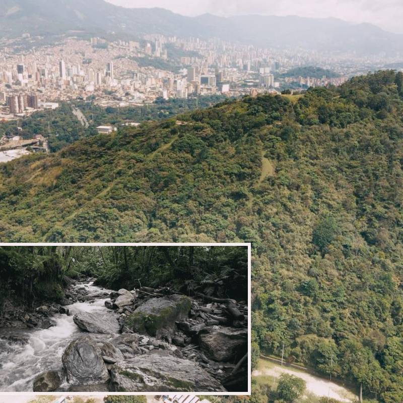 Imagen de referencia de la biodiversidad de la ciudad de Medellín. FOTO: Cortesía.