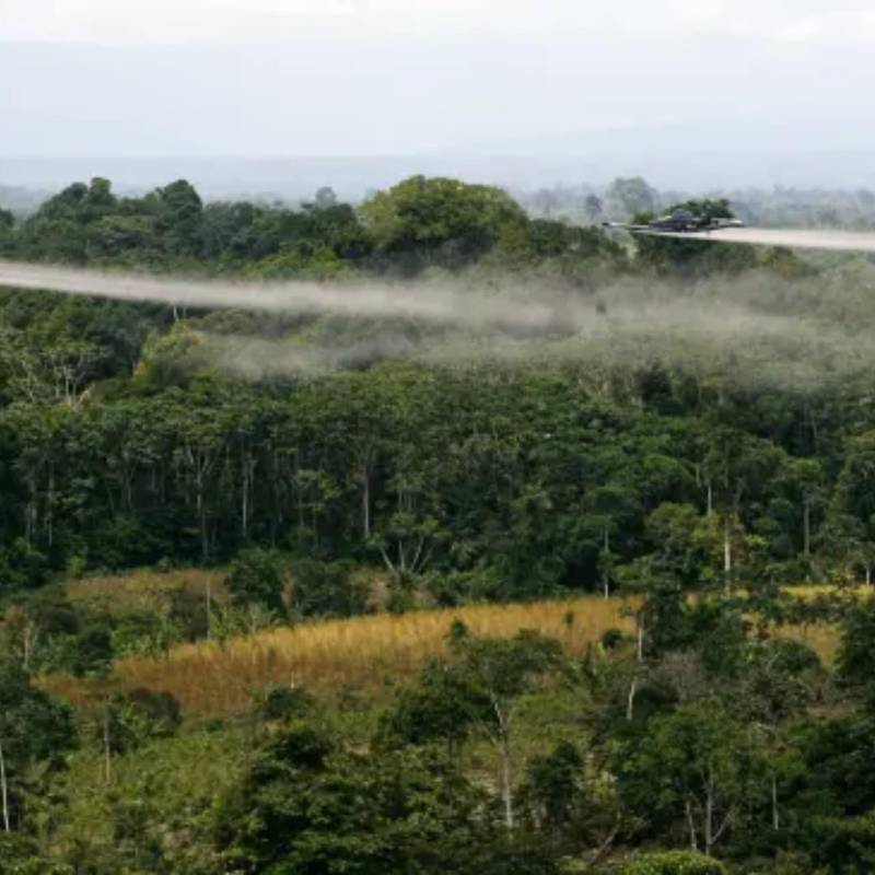 El gobierno De la Espriella ha propuesto volver a utilizar la fumigación aérea, pero deben cumplirse varios requisitos. Foto: Reuters