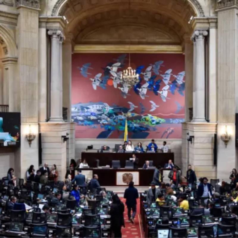La Cámara de Representantes está compuesta por 183 miembros. Foto: Colprensa.