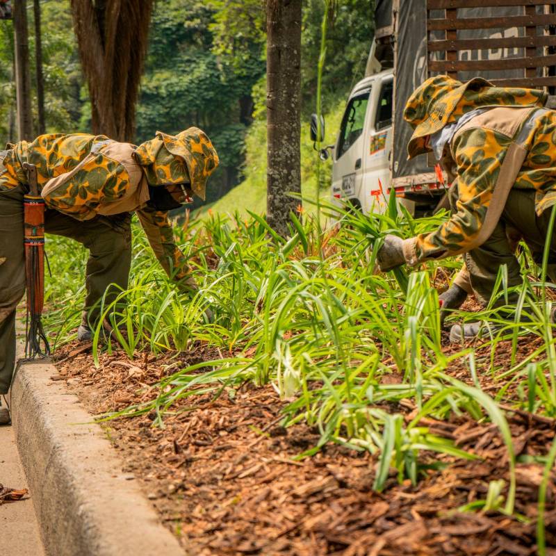 La recuperación de los jardines fue una de las tareas urgentes de la administración de Federico Gutiérrez. Foto: Cortesía