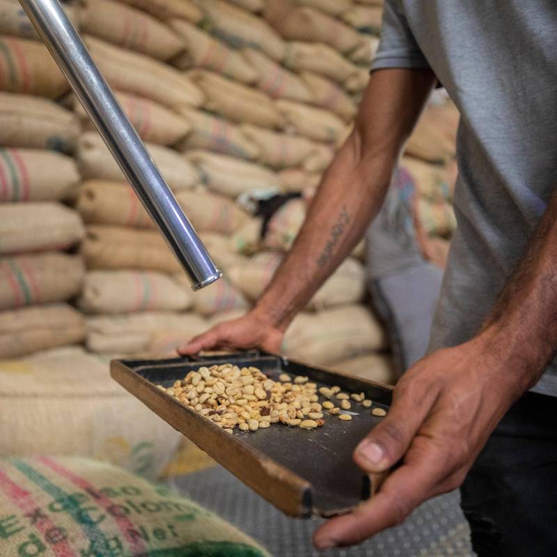 La trilla de café fue la actividad industrial de mayor variación en marzo, en Colombia. FOTO Camilo Suárez