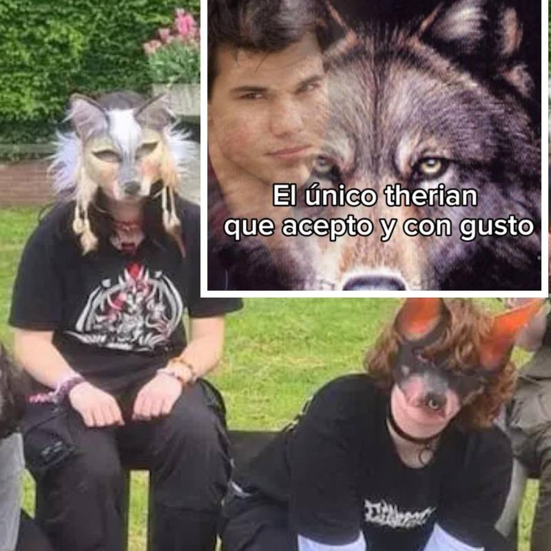 Los internautas se han expresado en redes sociales sobre los therians por medio de miles de memes que se tomaron todas las redes sociales. FOTO: Redes sociales