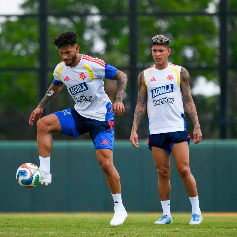 El delantero del Sporting de Lisboa, Luis Javier Suárez, estaría al lado de Luis Díaz como las alternativas ofensivas de Colombia para el duelo ante Croacia. FOTO: Cortesía FCF