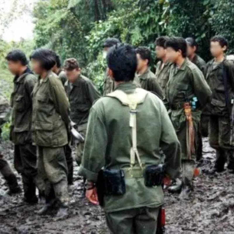 Los menores habrían sido secuestrados para ser víctimas de reclutamiento forzado. Foto: Colprensa.
