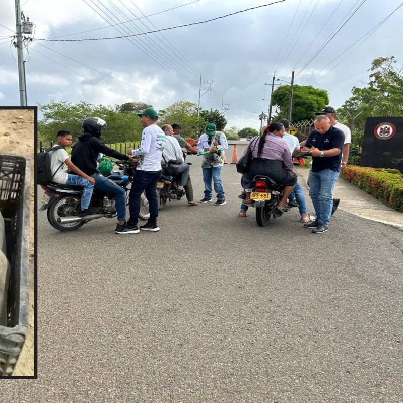 Adelante, un grupo de tortugas incautadas. Atrás, uno de los controles en vías del Urabá. FOTO: Cortesía