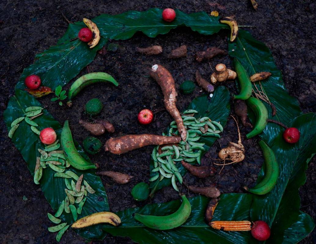 Entre fogones, huertas y recetas locales se tejió una guía que celebra la diversidad alimentaria de Colombia. FOTO cortesía UdeA