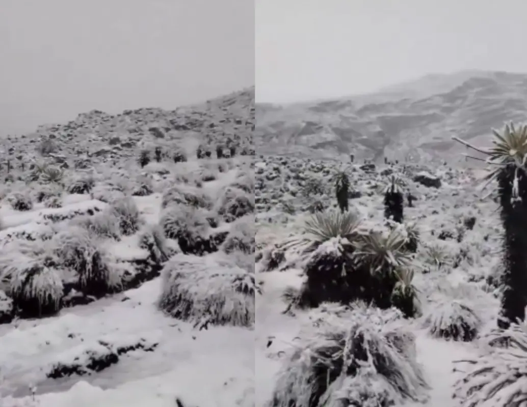 La intensa nevada en el Parque Nacional Natural El Cocuy cubrió sectores como el Ritacuba Blanco y el Púlpito del Diablo, sorprendiendo a turistas y guías locales. FOTOS: Captura de video
