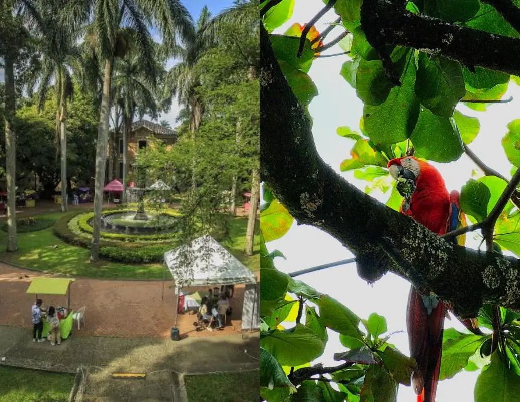 Además de su labor médica, el Hospital San Vicente Fundación conserva cerca de 560 árboles y alrededor de 100 especies vegetales que sirven de hábitat para la fauna silvestre urbana. FOTO: Camilo Suárez, Hospital San Vicente Fundación. 