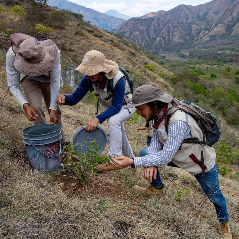 La inversión ambiental de las empresas colombianas alcanzó cerca de $10 billones en 2025 y superó por primera vez a la inversión social, según el Índice de Inversión Social y Ambiental Empresarial (IISAE). FOTO EL COLOMBIANO