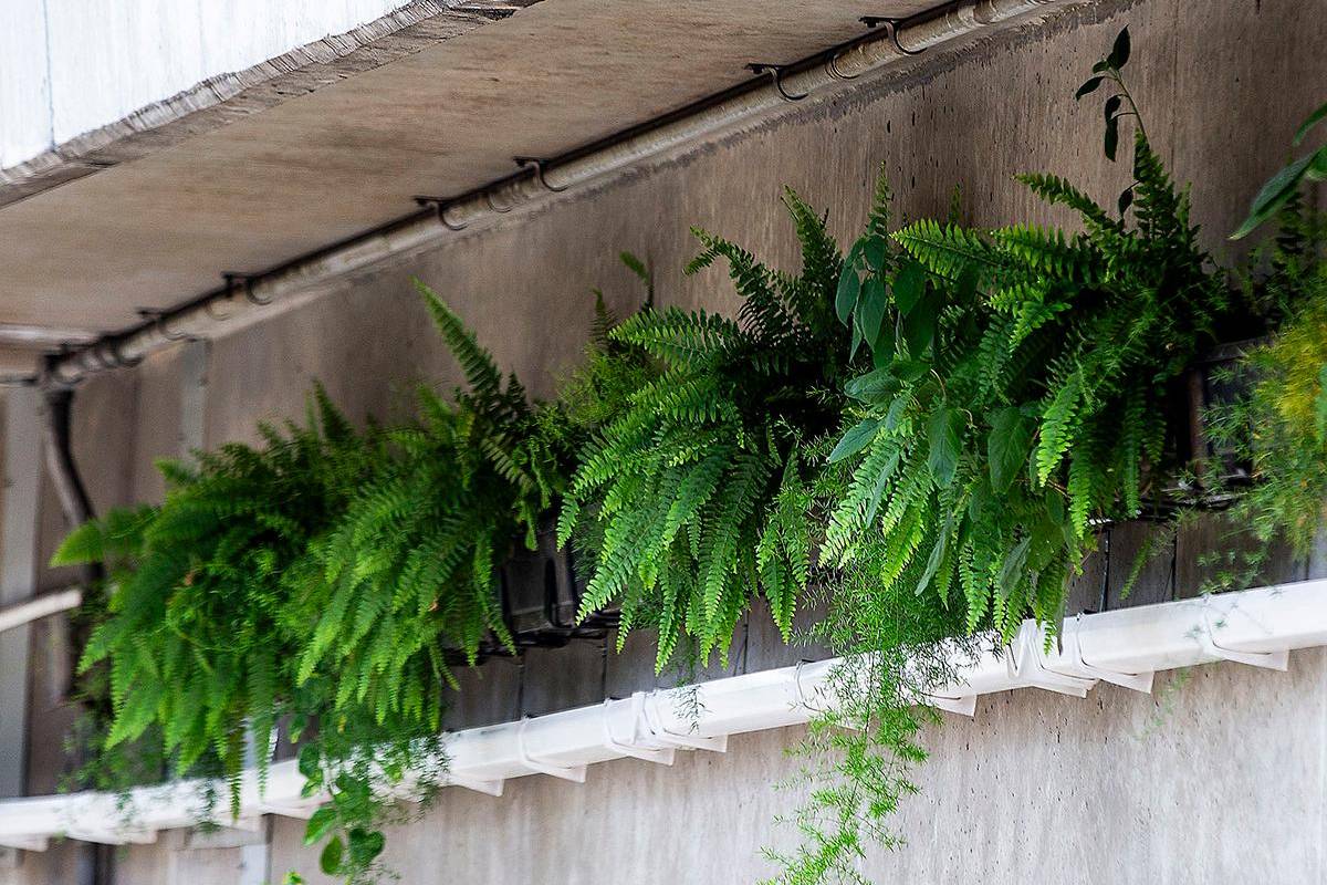 Cabe recordar que el efecto isla de calor es un fenómeno que viene ganando terreno durante los últimos años en la ciudad, que consiste en la existencia de varios puntos en donde el calor se incrementa y se conserva con mayor facilidad. Foto: Julio Herrera