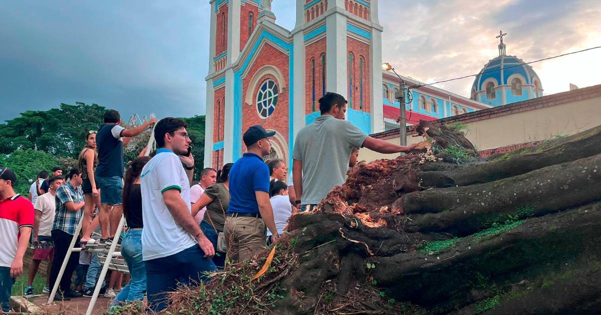 Murió una turista en el Meta después de que le cayera un árbol encima