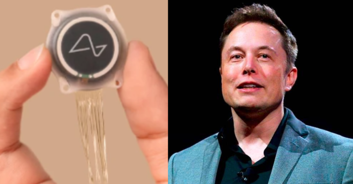 Neuralink De Elon Musk Iniciará Pruebas En Humanos Para Implantarles