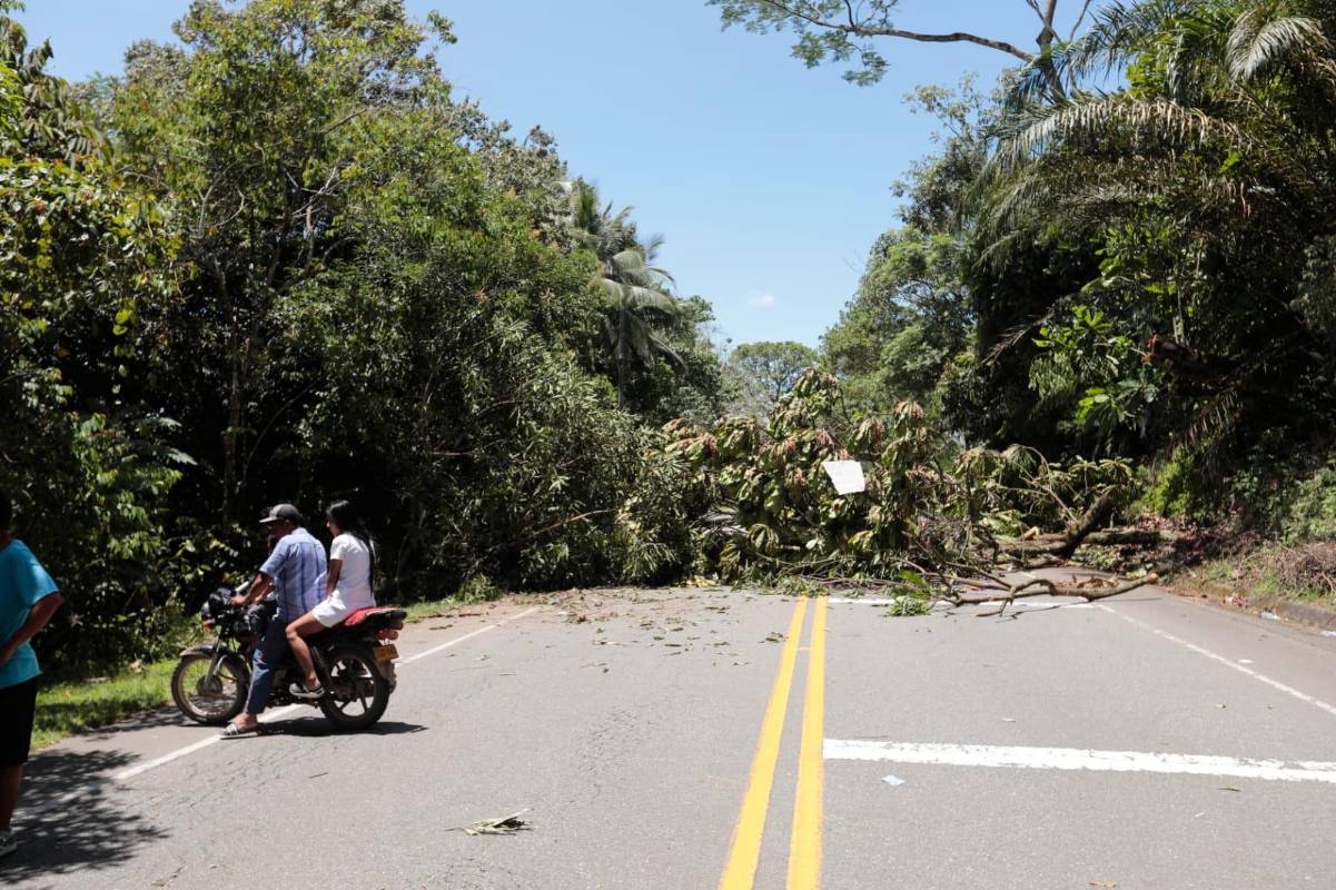Los bloqueos viales persisten desde el pasado miércoles 21 de septiembre. FOTO Carlos Velásquez