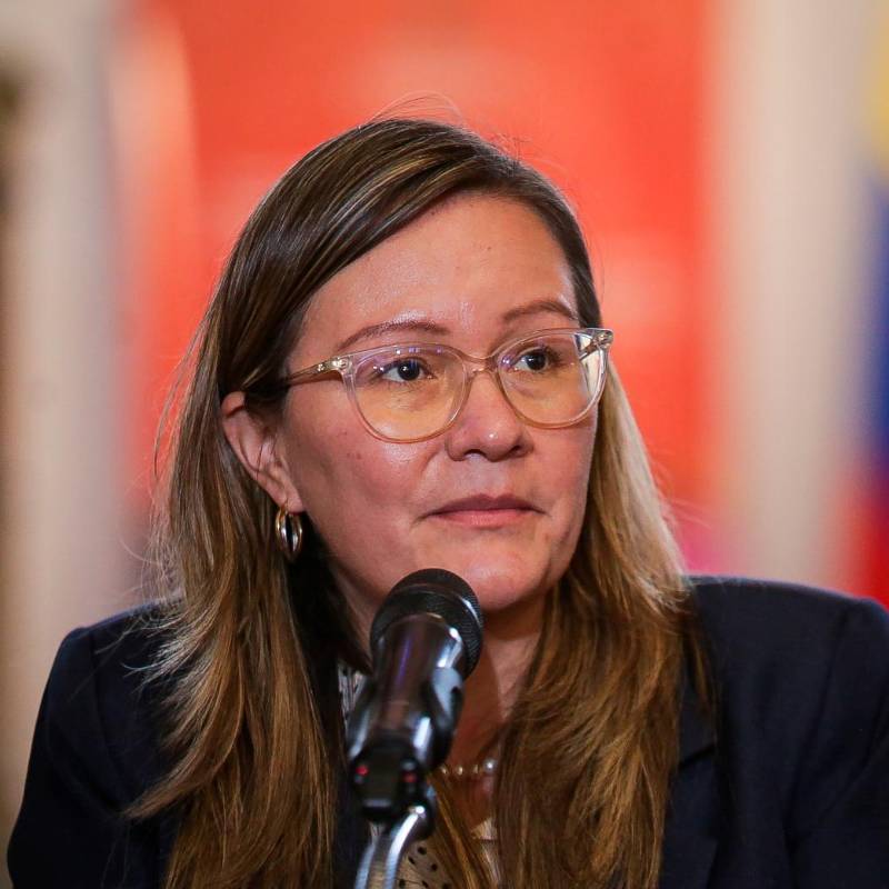 Cielo Rusinque cuestionó la decisión del Consejo de Estado que anuló su nombramiento como superintendente de Industria y Comercio. FOTO COLPRENSA. 