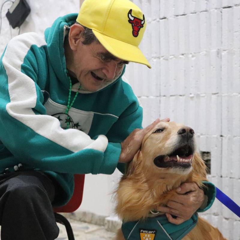 Uno de los perros que estuvo presente en el hogar geriátrico San Cristóbal. FOTO: Cortesía