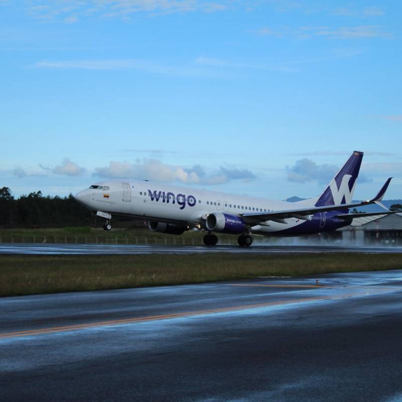 Wingo refuerza su apuesta internacional desde Medellín con rutas únicas a Guatemala y Jamaica. FOTO: Cortesía Wingo. 