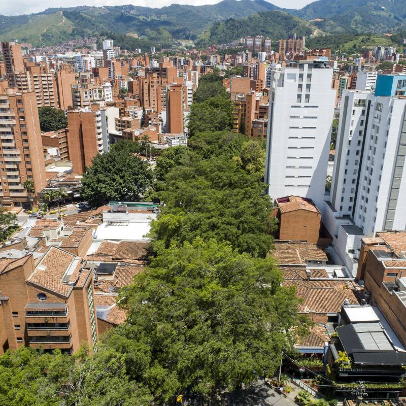 Panorámica de la avenida jardín entre el primer y el segundo parque del barrio Laureles en el occidente de Medellín, por donde transcurren corredores verdes. Foto: EL COLOMBIANO