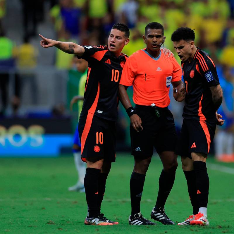 El venezolano Alexis Herrera sancionó un dudoso penal contra Colombia. FOTO GETTY