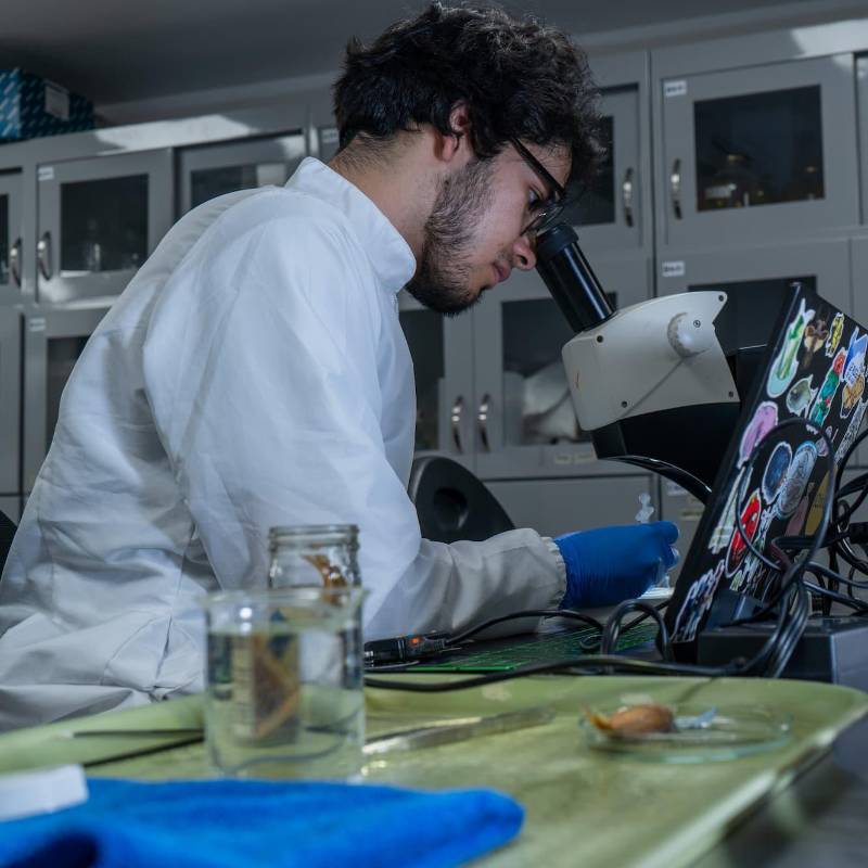 1.270 especímenes pertenecientes a 183 especies hacen parte de esta biblioteca genética. FOTO: Grupo de Ictiología de la Universidad de Antioquia. 