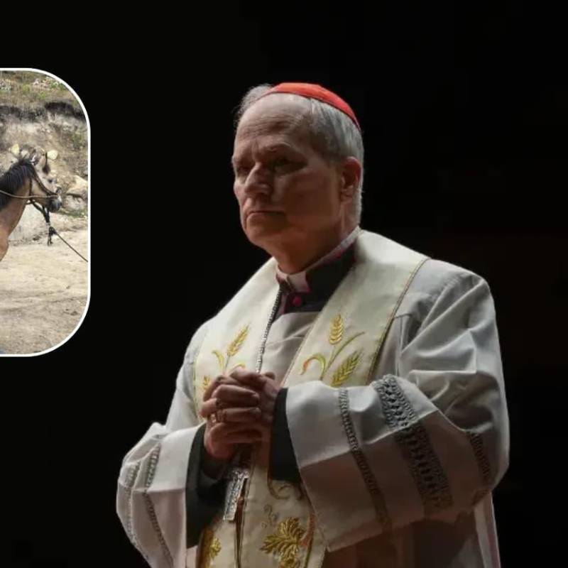 Así fue el trabajo del papa papa León XIV en Chiclayo, Perú. FOTO: GETTY - redes sociales