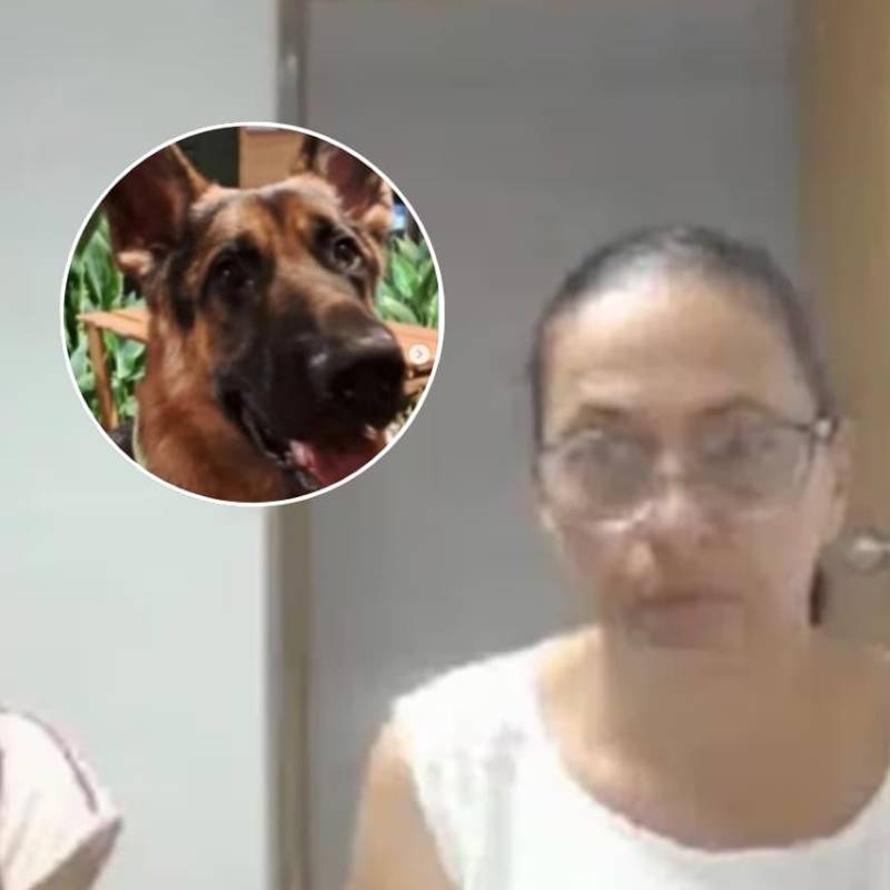 Teresita de Jesús Alcocer Puentes y su hija, Arlin Winneth Cuello Alcocer fueron condenadas por matar a un perro. FOTOS: FIscalía - tomada de redes sociales 