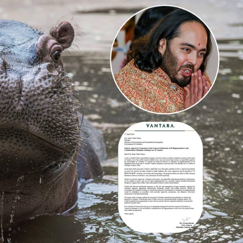 Esta fue la carta que envió el multimillonario Anant Ambani al Gobierno de Colombia para que frenen la eutanasia a 80 hipopótamos en el Magdalena Medio. FOTOS: ESNEYDER GUTIÉRREZ - AFP