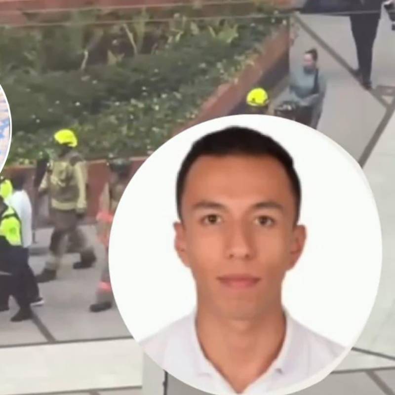 Habló el dueño del perrito Tonny, que fue lanzado desde el piso 25 de un edificio. Esto fue lo que contó. FOTO: Captura de video 