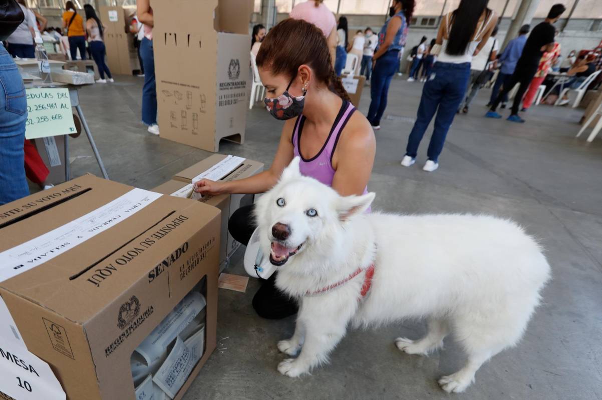 Muchos colombianos salieron a ejercer su derecho a votar en compañía de sus mascotas. Foto Manuel Saldarriaga