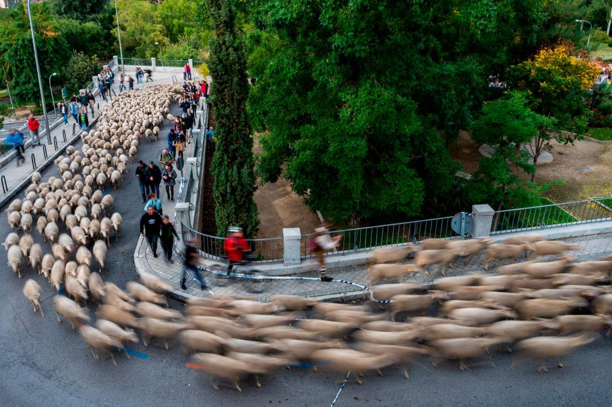 Miles de personas de todas las edades se acercaron para disfrutar del desfile. Foto Getty
