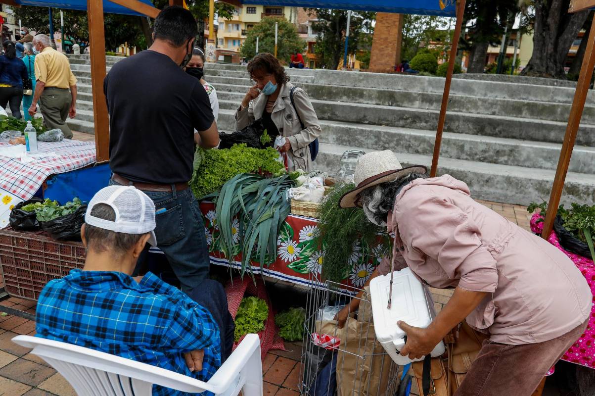 Mercado campesino, un proyecto que favorece a los cultivadores de 56 veredas del municipio del Carmen de Viboral. Foto: Manuel Saldarriaga Quintero.
