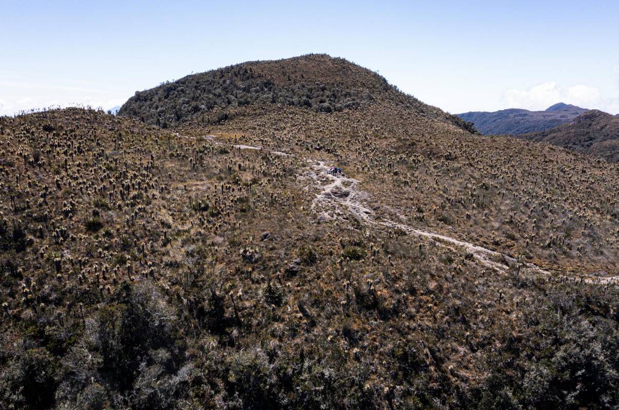 Escalar el páramo, aun en las circunstancias más favorables, es una experiencia brutal, dolorosa y angustiante. Para muchos termina convertida en la prueba física más grande de sus vidas. Foto: MANUEL SALDARRIAGA QUINTERO.
