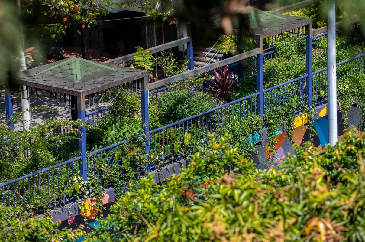 Refugio de diferentes especies de fauna y, además, suma beneficios ambientales debido a la siembra de nuevos jardines. Foto: Camilo Suárez