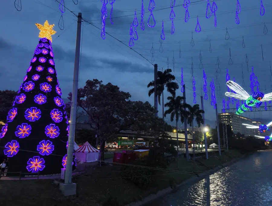 El árbol de Navidad, ubicado en inmediaciones de Parques del Río, decorado con 90 flores luminosas en su exterior. FOTO Cortesía EPM.