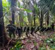 Estas son las rampas de lanzamiento artesanales encontradas en el bosque de Puerto Rondón, Arauca. FOTO: CORTESÍA DEL EJÉRCITO.