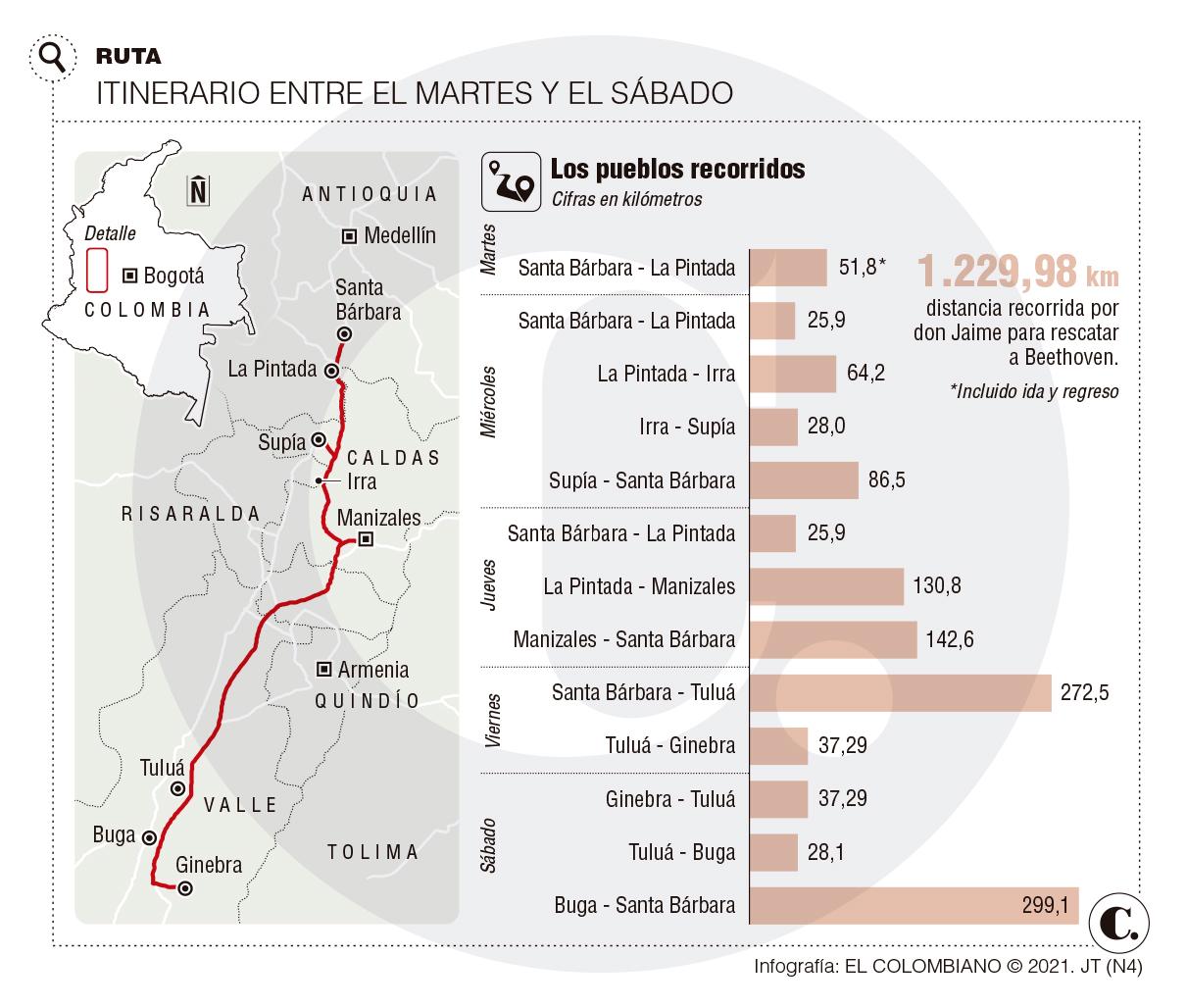InfogrÃ¡fico