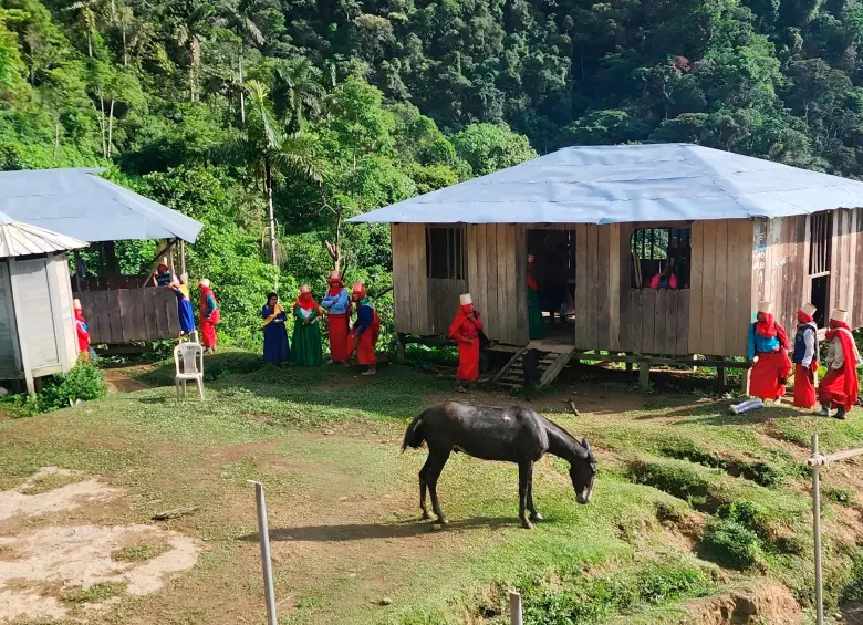 Los resguardos indígenas de Jaidukamá y de Jaivadiama están ubicados en el Cañón de San Matías de Ituango, zona de tránsito estratégico para la Fuerza Pública, el Clan del Golfo y las disidencias. FOTO alejandro tangarife