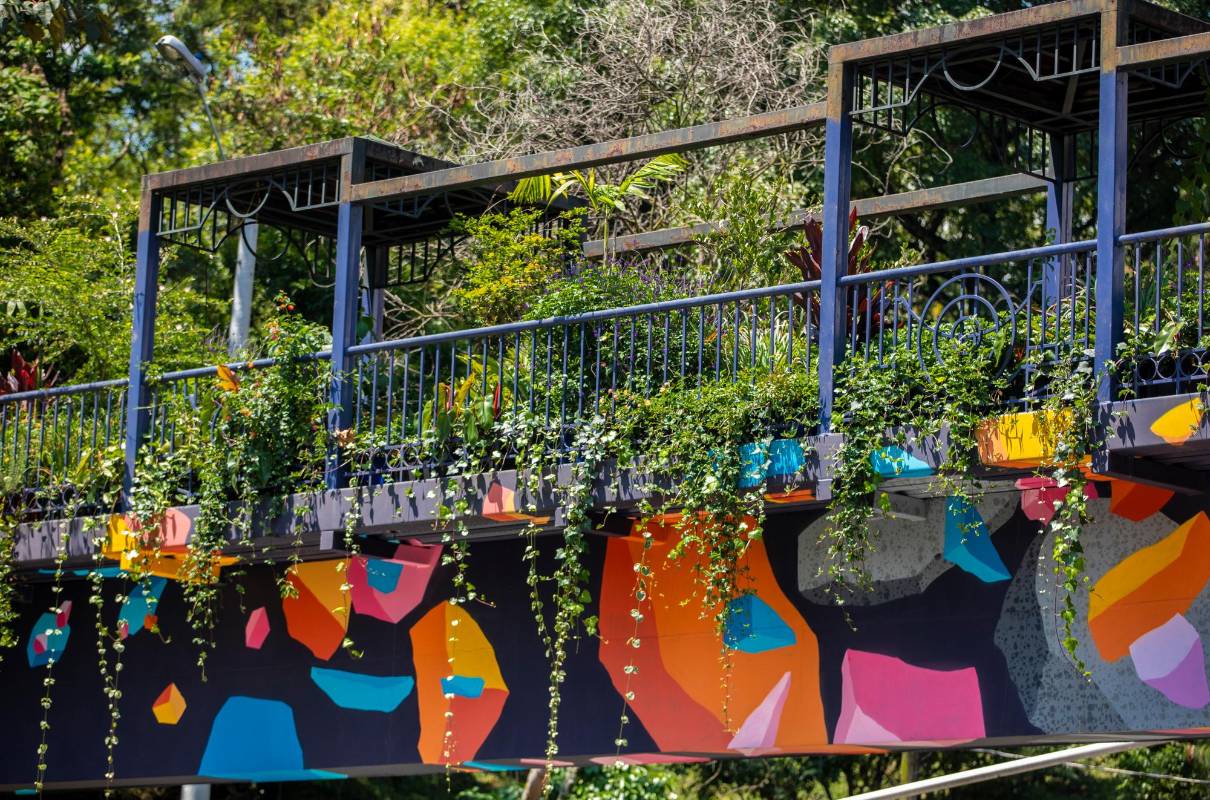 Esta nueva infraestructura verde cuenta con un sistema de riego que garantiza la humedad de las plantas en temporadas de fuerte verano. Foto: Camilo Suárez