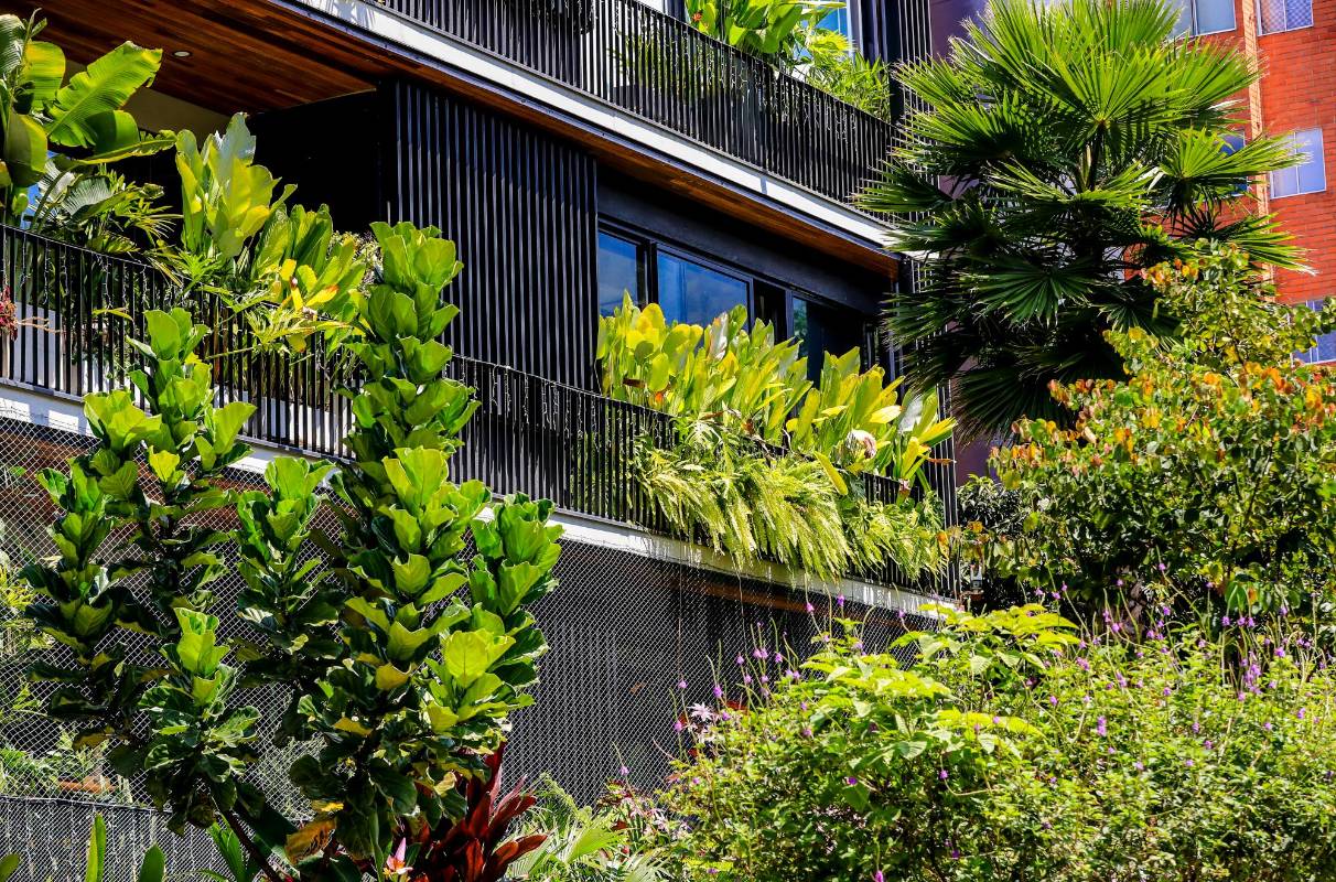 Esas fachadas emulan los espacios naturales en lugares construidos por el hombre. El objetivo es que estos sean espacios más humanos y naturales. FOTO: Jaime Pérez