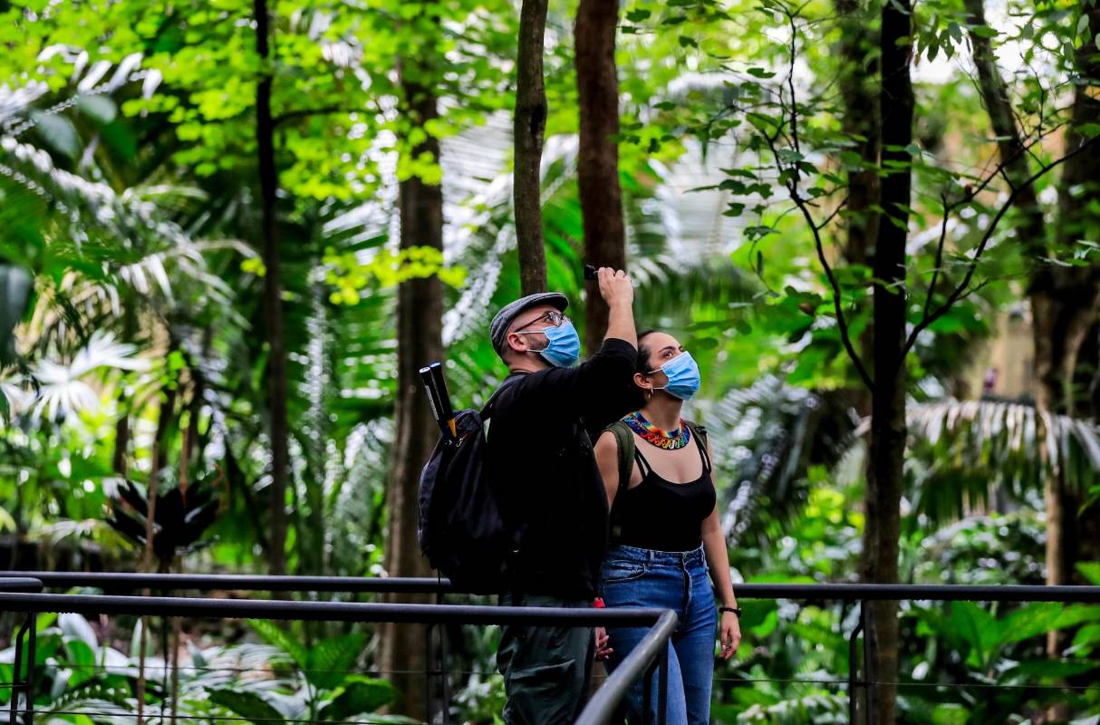 El jardín botánico ofrece espacios llenos de naturaleza. FOTO: Jaime Pérez