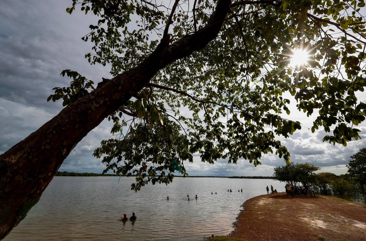 A pesar de contar con tan solo cuatro municipios, este departamento es el segundo más grande del país, después de Amazonas. Foto: Manuel Saldarriaga Quintero.
