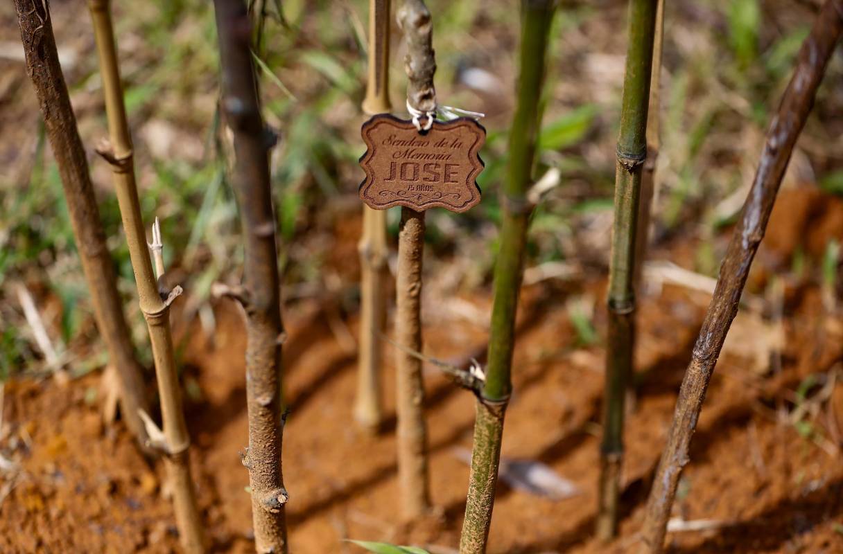 En cada uno de los árboles del Sendero de la Memoria una placa de madera recuerda el nombre y la edad de las personas fallecidas a causa de la pandemia. Foto: Manuel Saldarriaga Quintero.