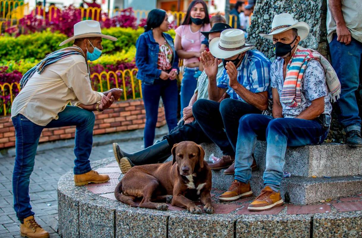 Además de la atención urgente a estos animales desplazados de sus hogares junto con sus familias, Ituango tiene un complejo problema de salud pública por la masiva presencia de perros callejeros. Fotos Juan Antonio Sánchez Ocampo