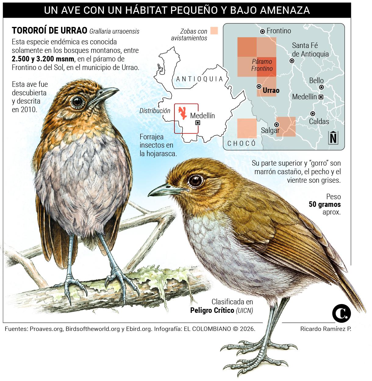 InfogrÃ¡fico