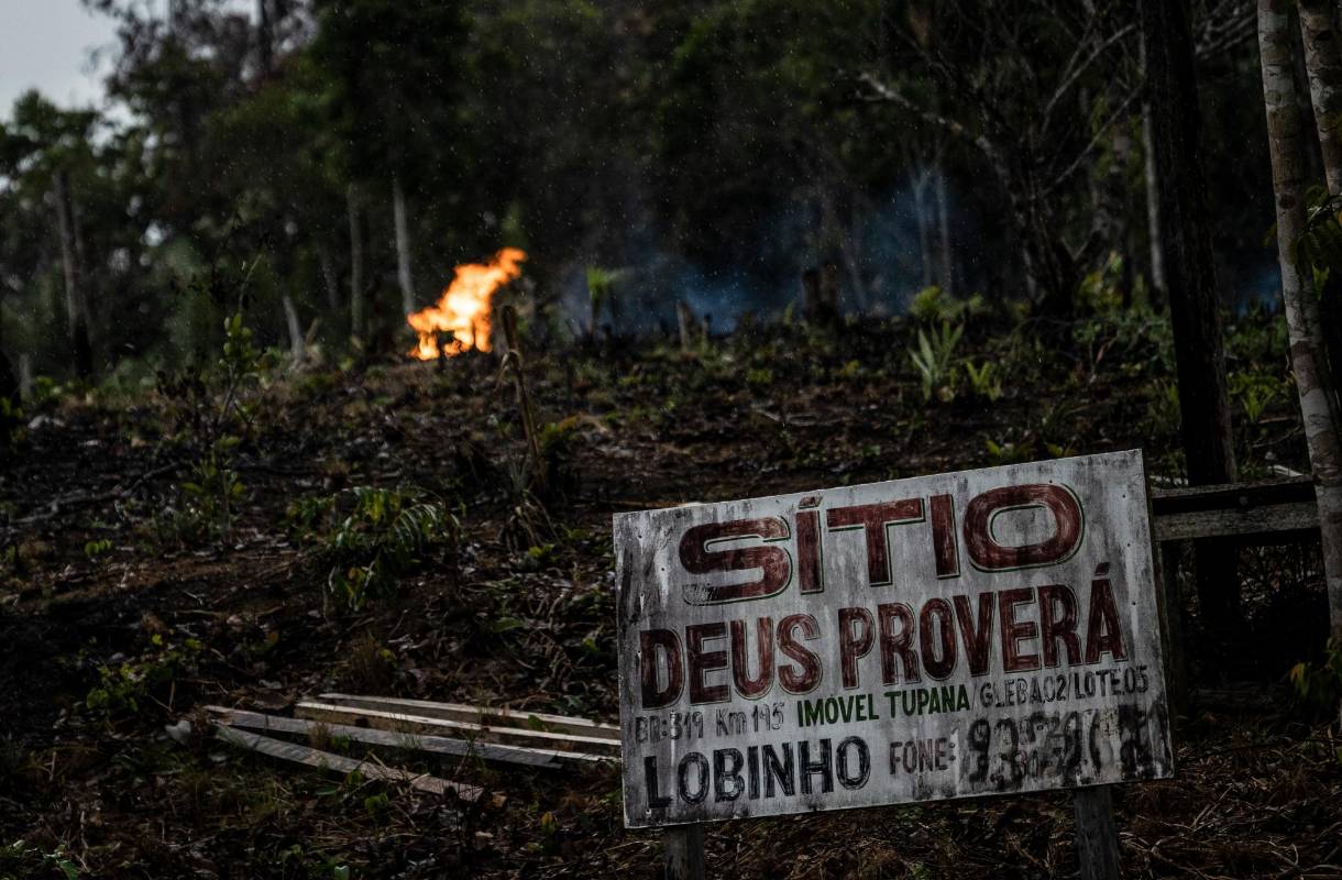 La carretera va desde Manaos hasta Porto Velho con una longitud de 885 kilómetros. Foto: AFP