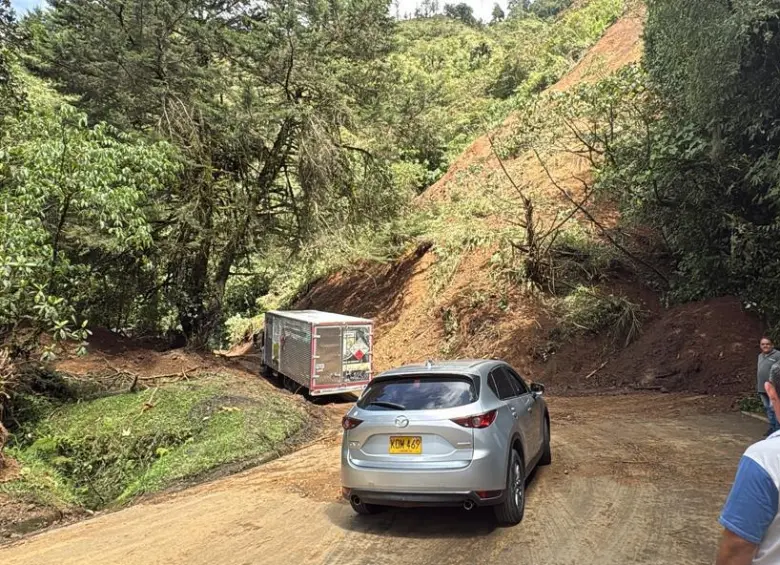 Reapertura de la vida en el occidente de Antioquia. FOTO: Cortesía