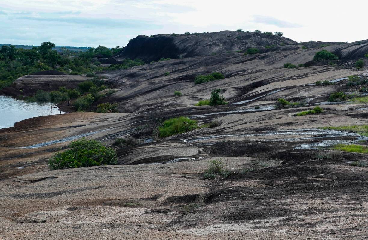 En los afloramientos rocosos la vegetación arbórea es escasa, crean condiciones de temperaturas extremas. Foto: Manuel Saldarriaga Quintero.