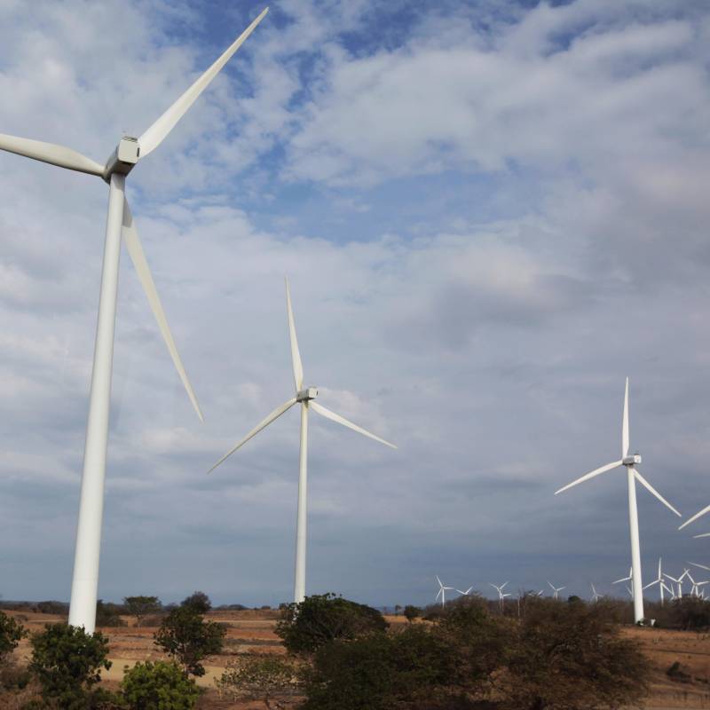 La demanda, registrada el 10 de diciembre de 2025, está relacionada con el fracaso de sus proyectos eólicos Alpha y Beta en La Guajira. Foto: Colprensa